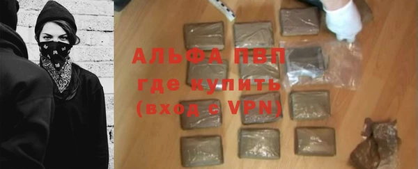 стафф Алзамай