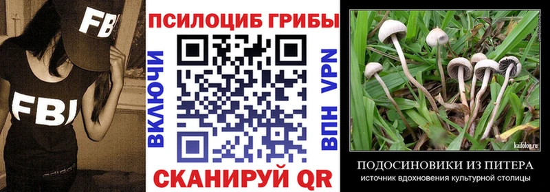 блэк спрут онион  Пласт  Галлюциногенные грибы мухоморы 